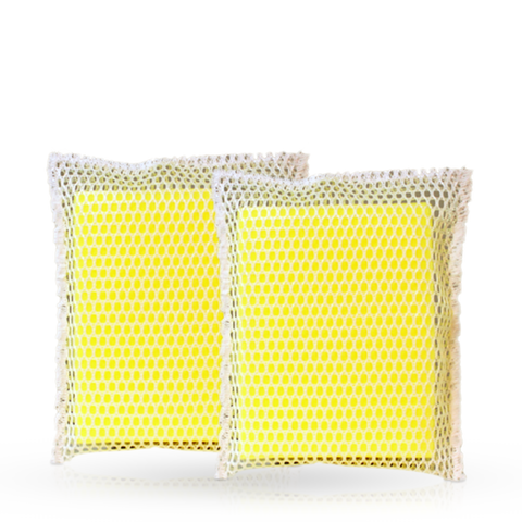 Bug Sponges (2pk)